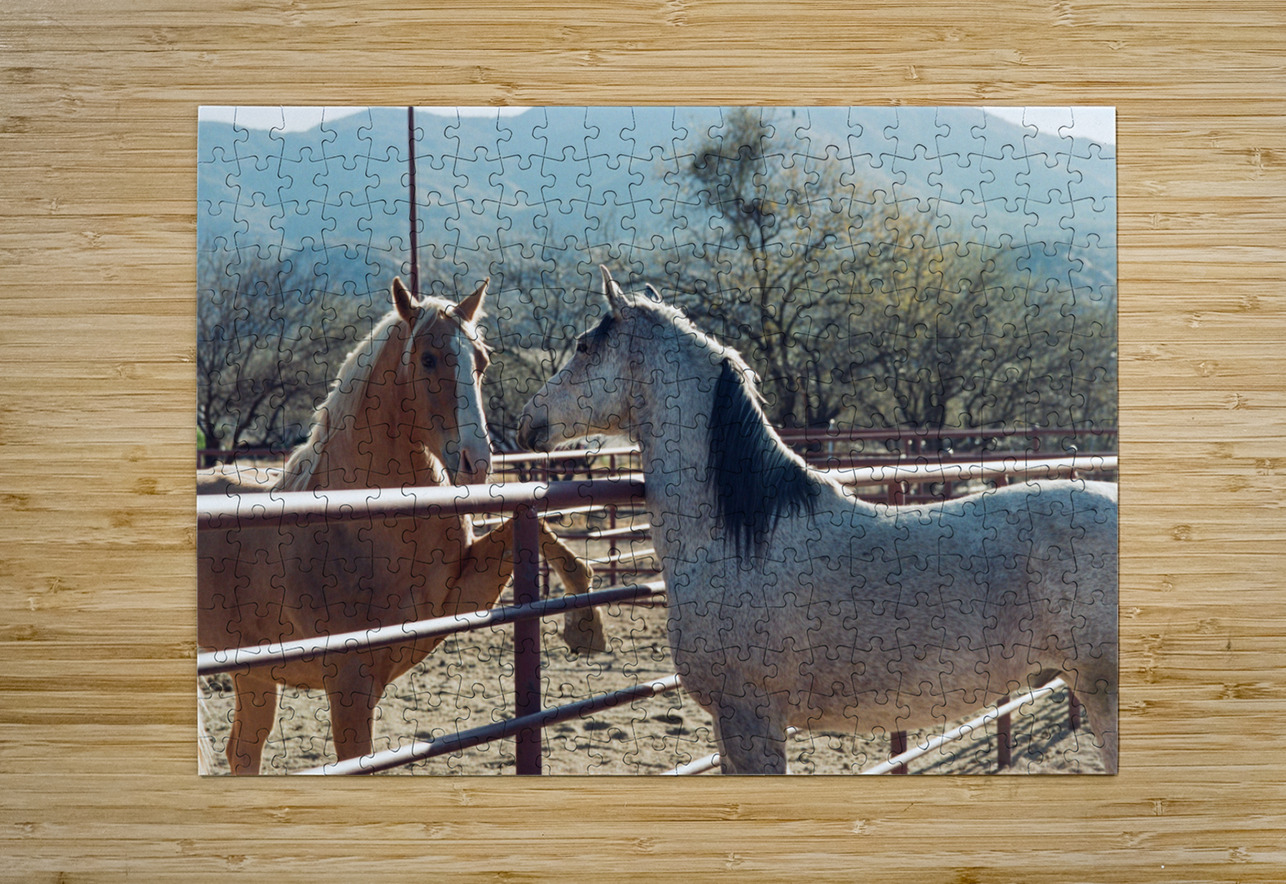 Horses connecting Bonnies Wall Art Puzzle printing