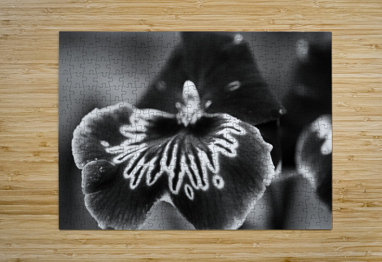 Black and White Orchid Series 21 Bonnies Wall Art Puzzle printing