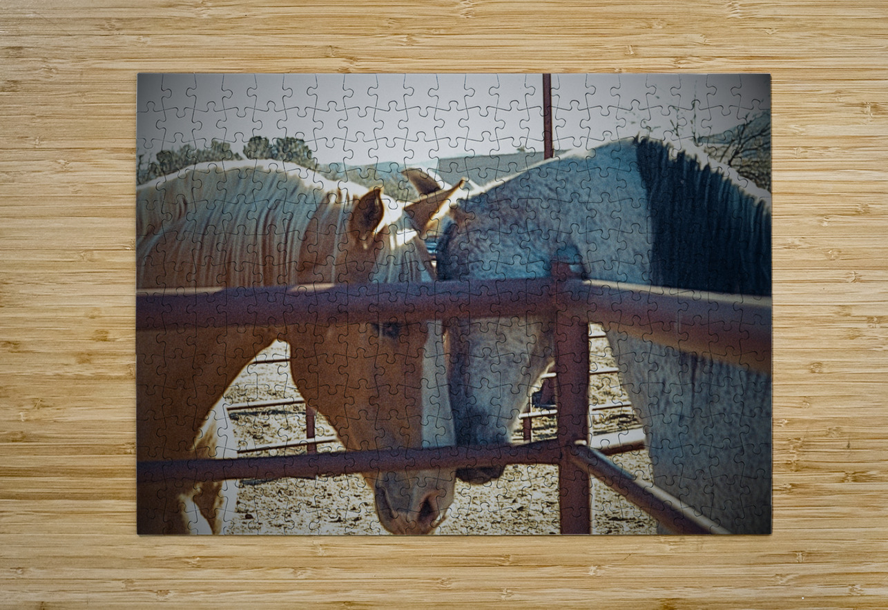 Horse Embrace  Bonnies Wall Art Puzzle printing