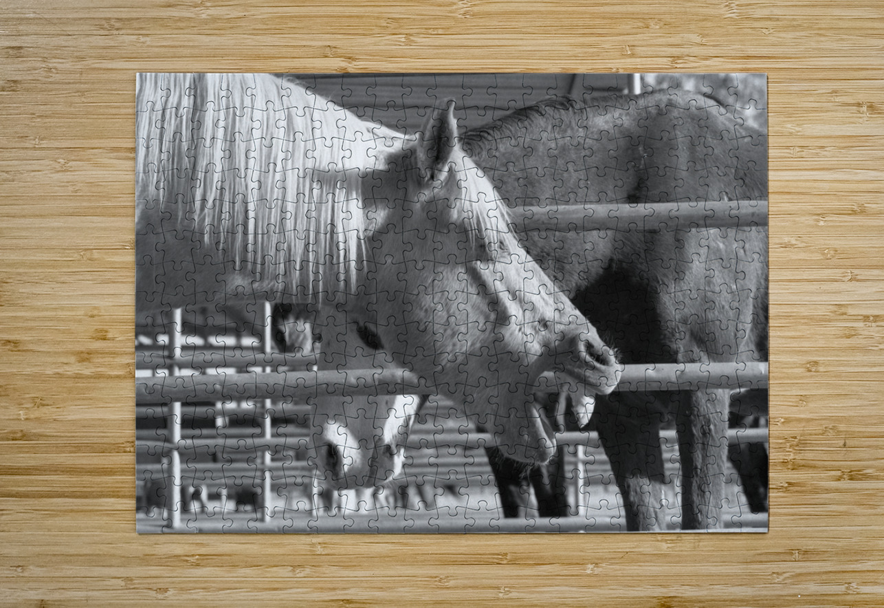 Horse Yawning Bonnies Wall Art Puzzle printing
