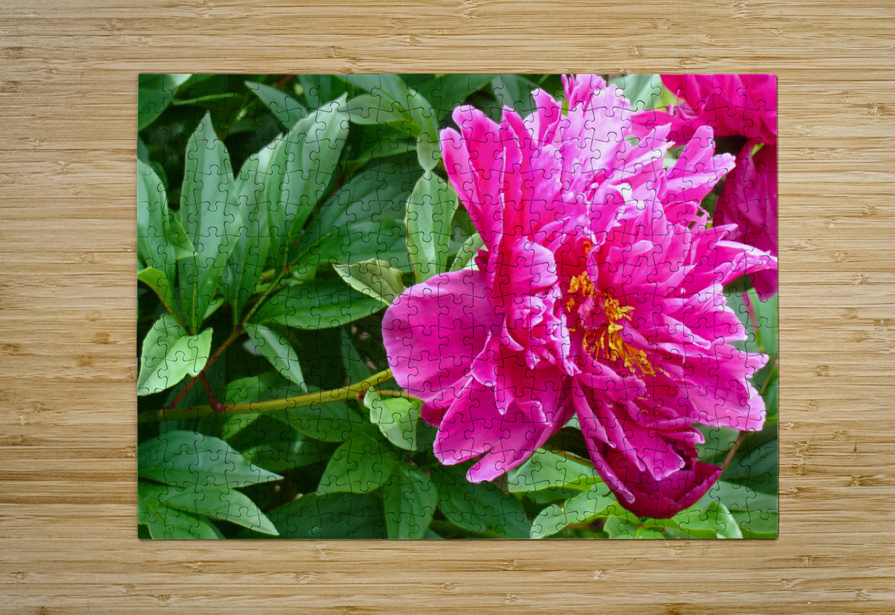 PInk Peony Bonnies Wall Art Puzzle printing