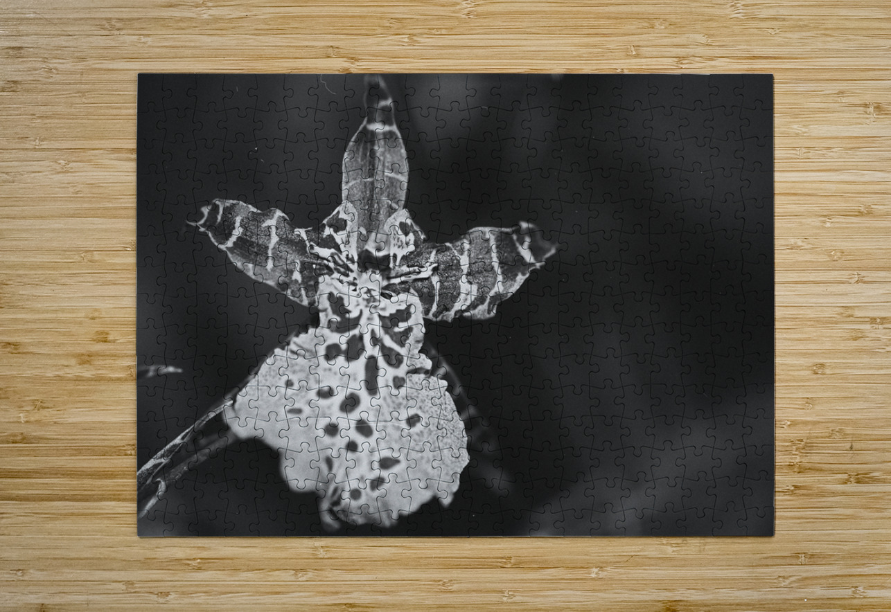 Clown Orchid Bonnies Wall Art Puzzle printing