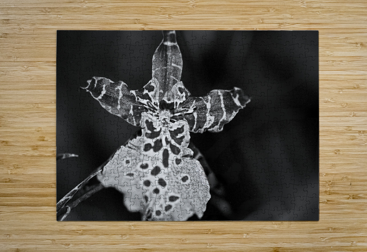 Spotted Orchid Bonnies Wall Art Puzzle printing