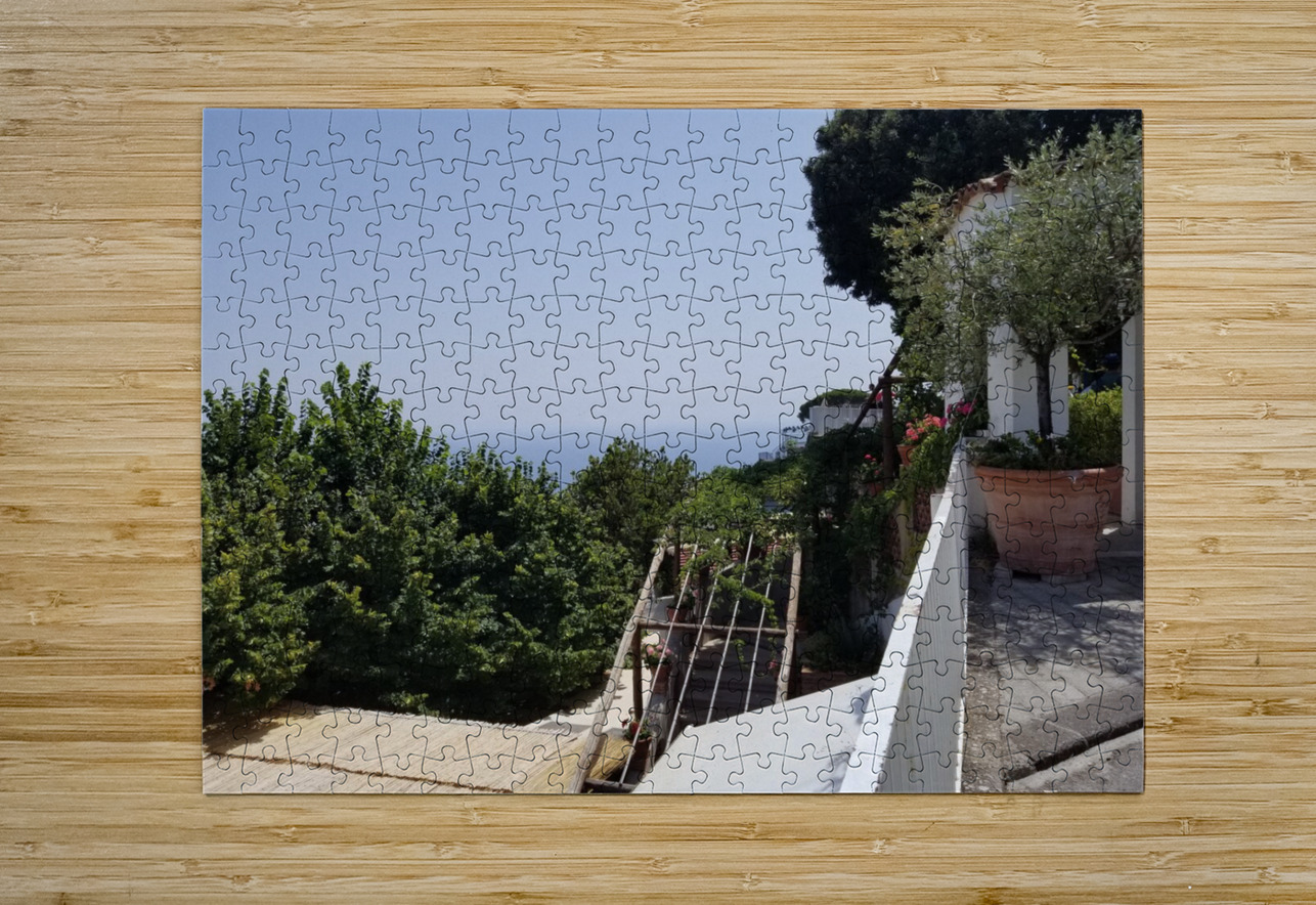 Life atop Positano Bonnies Wall Art Puzzle printing