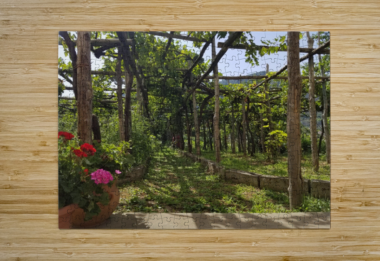 Amalfi vineyards Bonnies Wall Art Puzzle printing