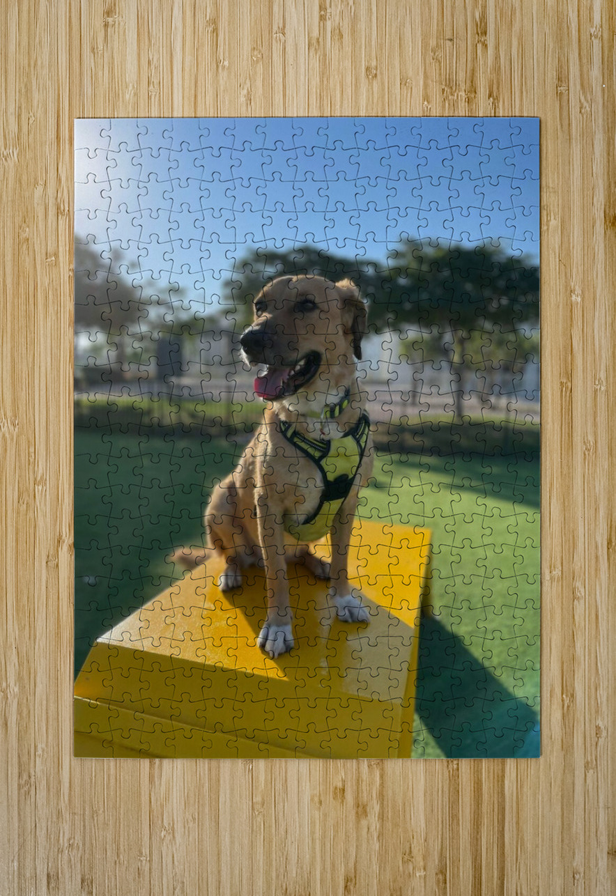 Rufus The Happy Dog Bonnies Wall Art Puzzle printing