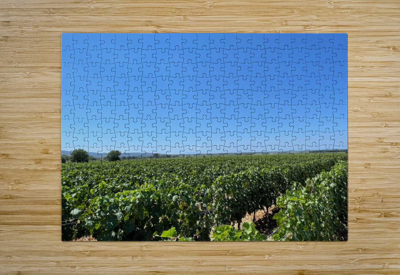 Tuscany Vineyards Cabernet Franc Bonnies Wall Art Puzzle printing