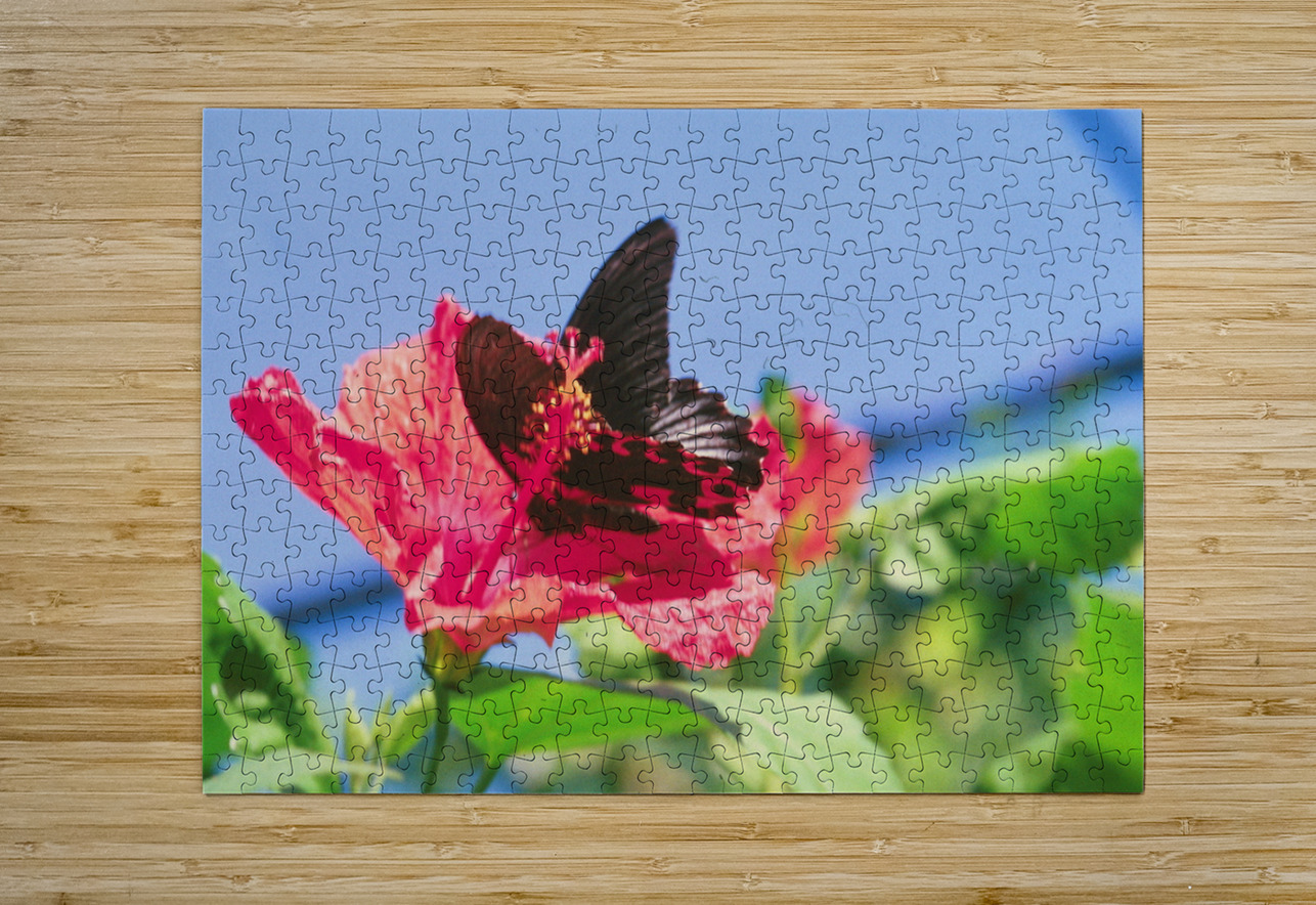 Butterflies Are Free  Bonnies Wall Art Puzzle printing