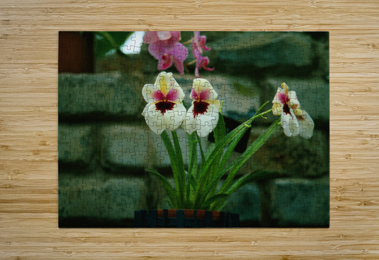 Twin Pansie Flowers Bonnies Wall Art Puzzle printing