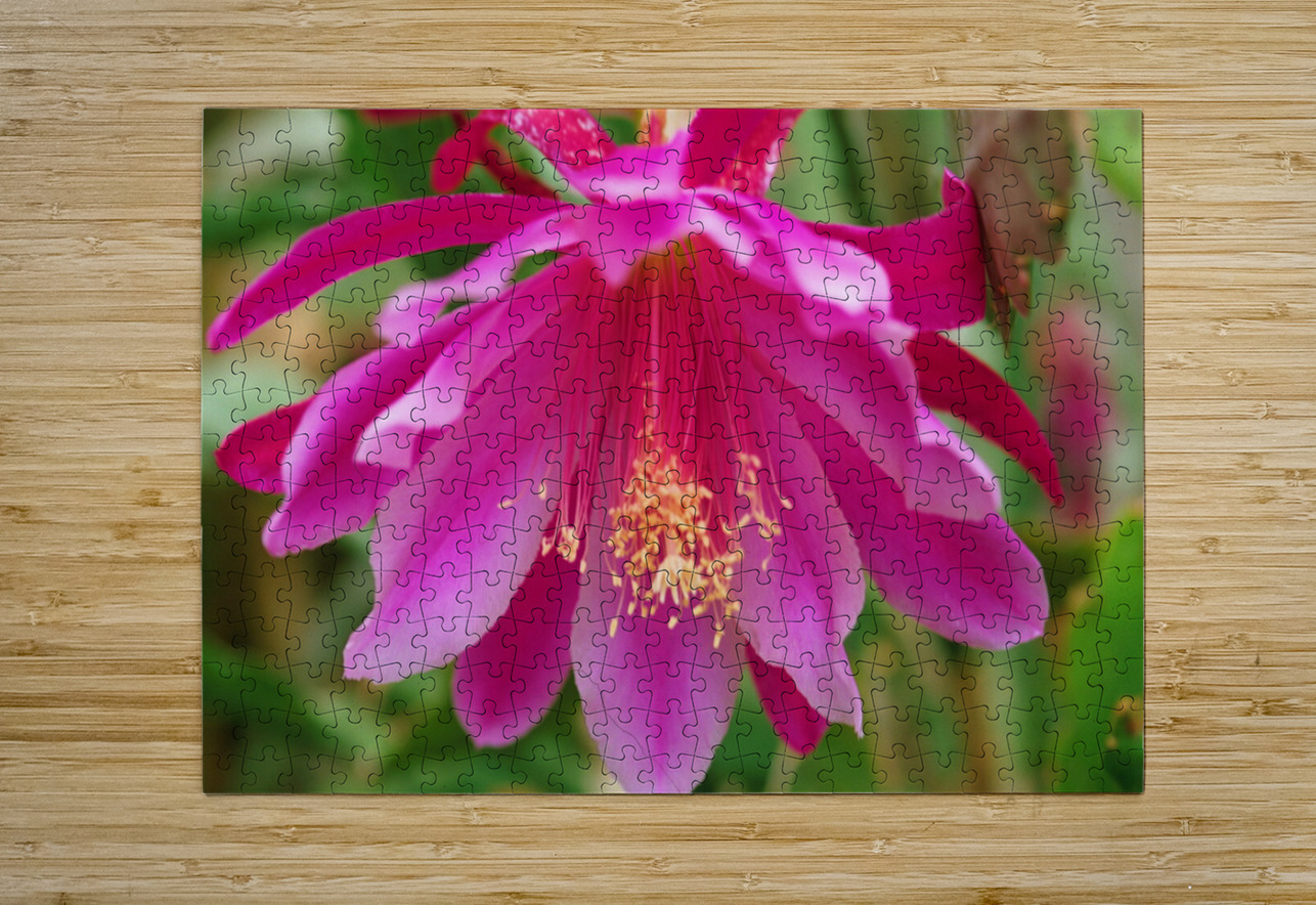 Fuschia Peony Flowering Bonnies Wall Art Puzzle printing
