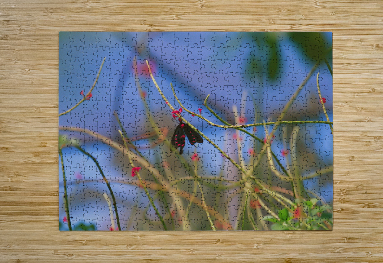 Butterfly Hanging Out Bonnies Wall Art Puzzle printing