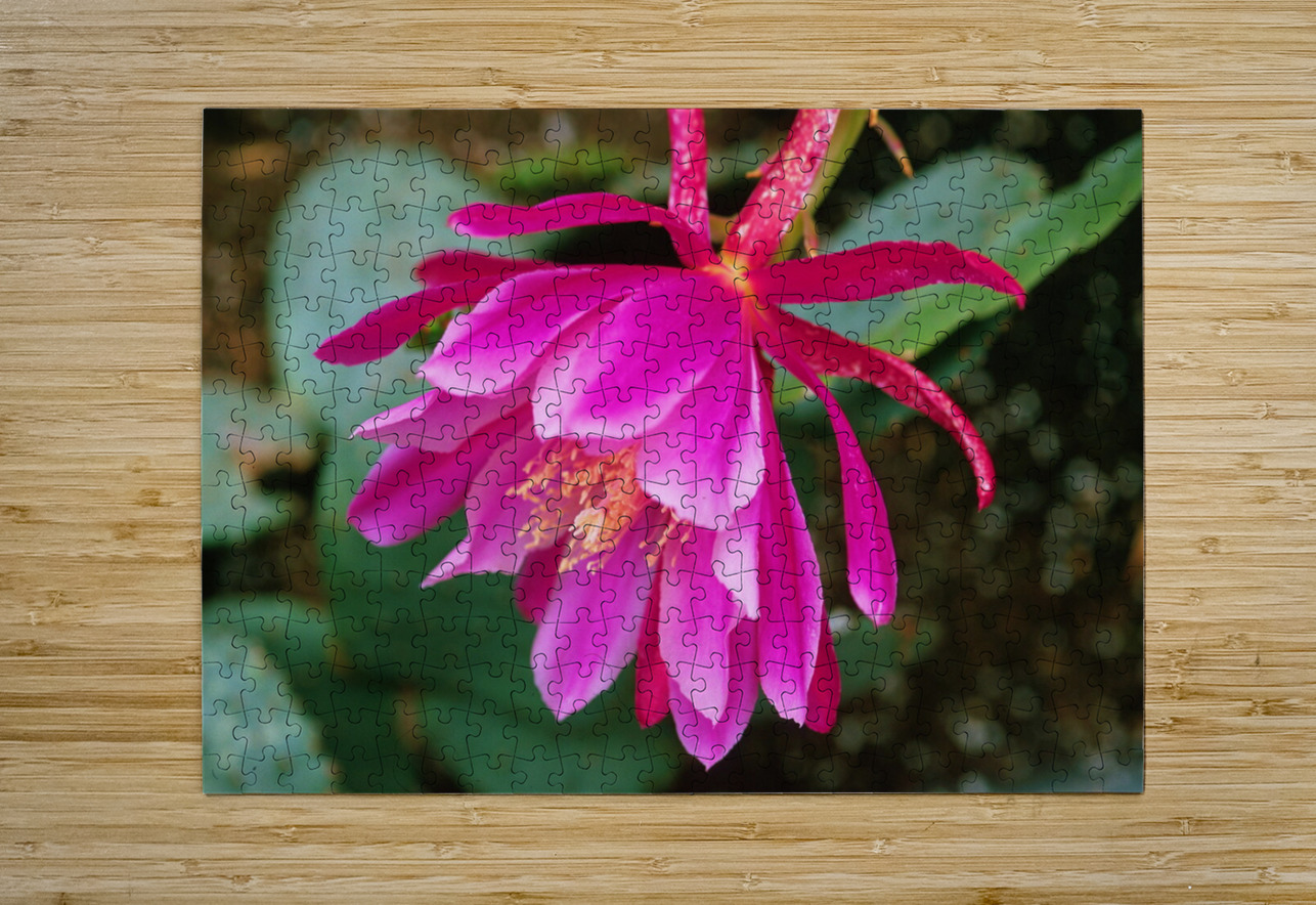 Fuschia Peony Side View Bonnies Wall Art Puzzle printing
