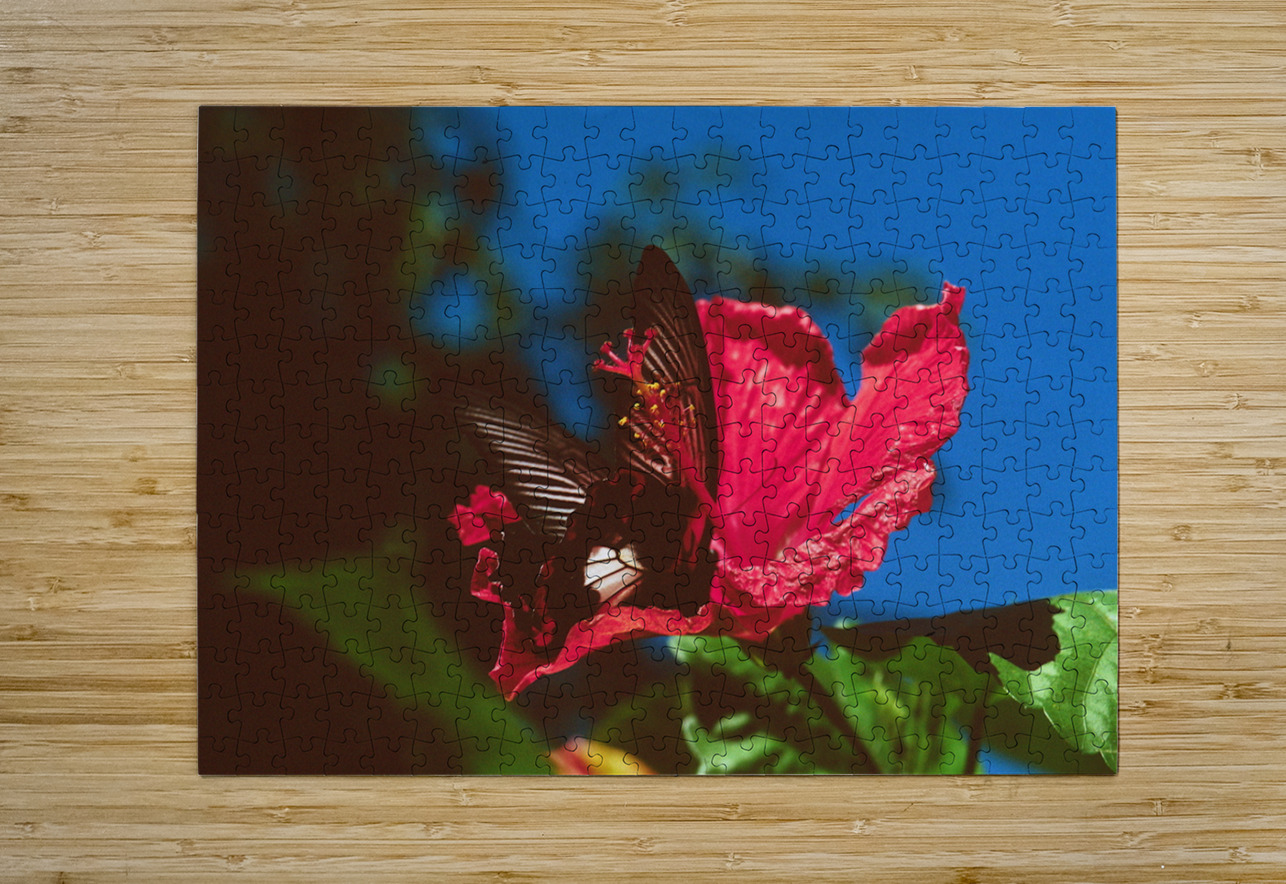 Black Butterfly Merge With The Red Flower Bonnies Wall Art Puzzle printing