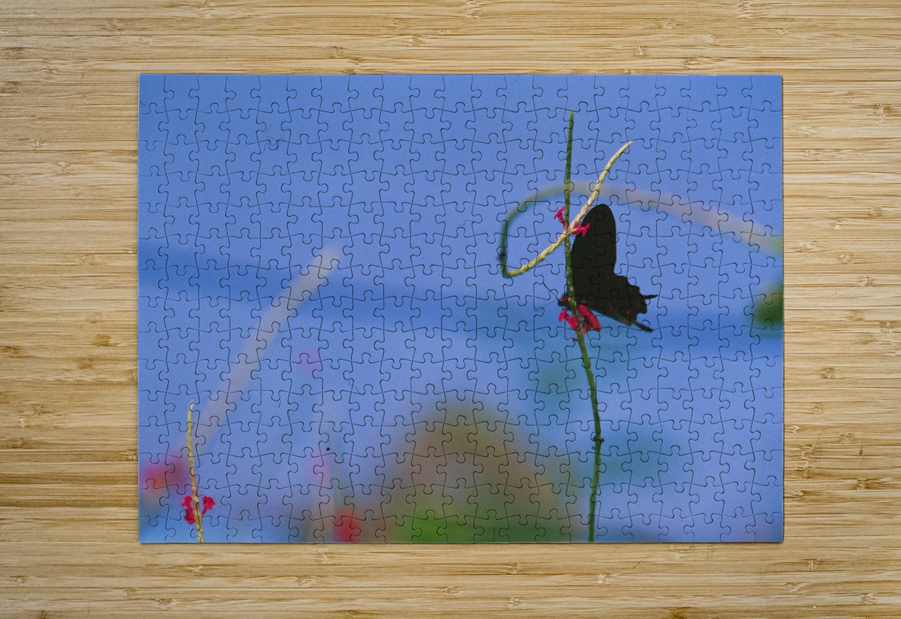 Black butterfly flower love Bonnies Wall Art Puzzle printing