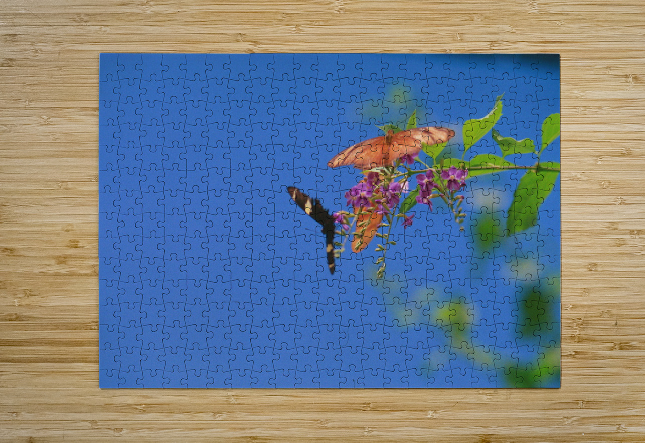 Butterflies at play Bonnies Wall Art Puzzle printing