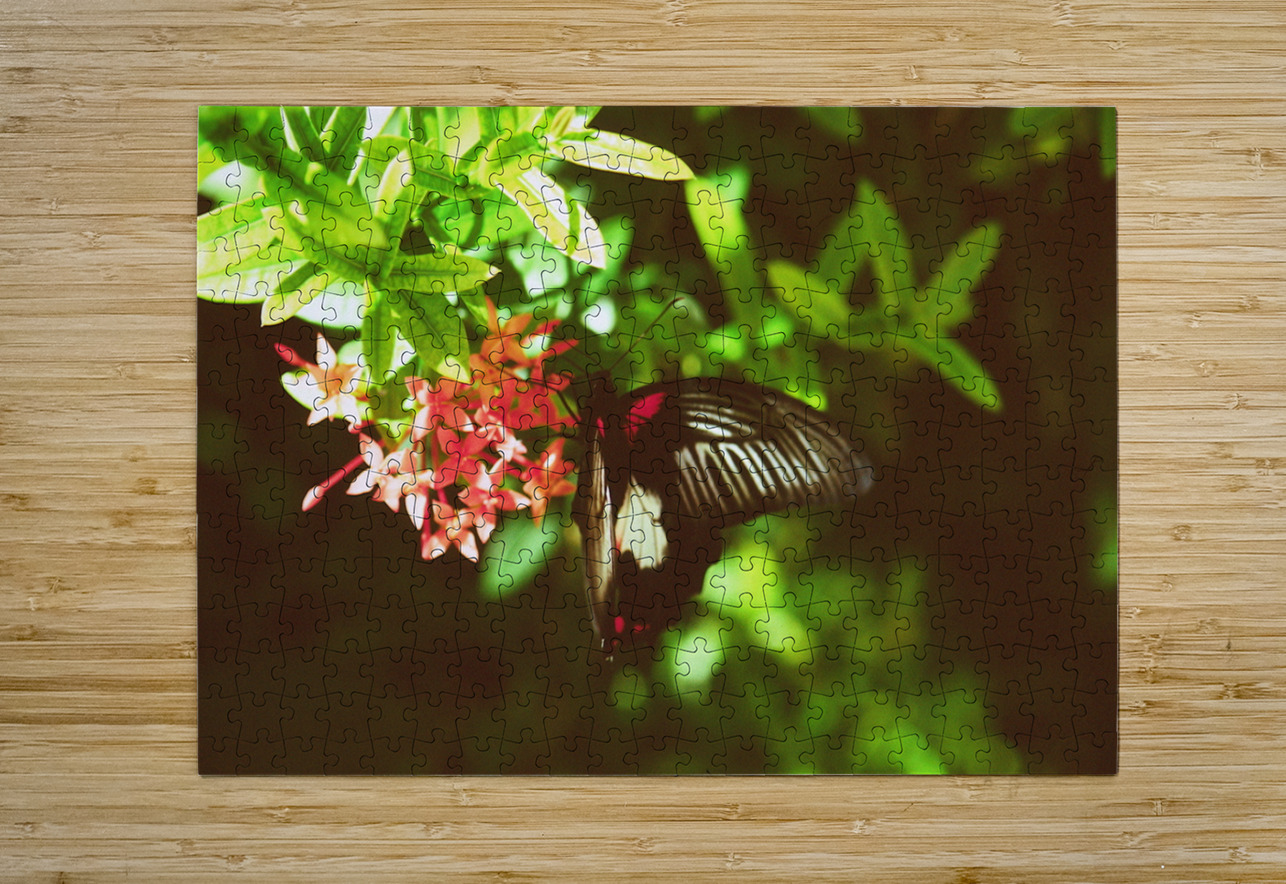 Black butterfly amongst the flowers Bonnies Wall Art Puzzle printing