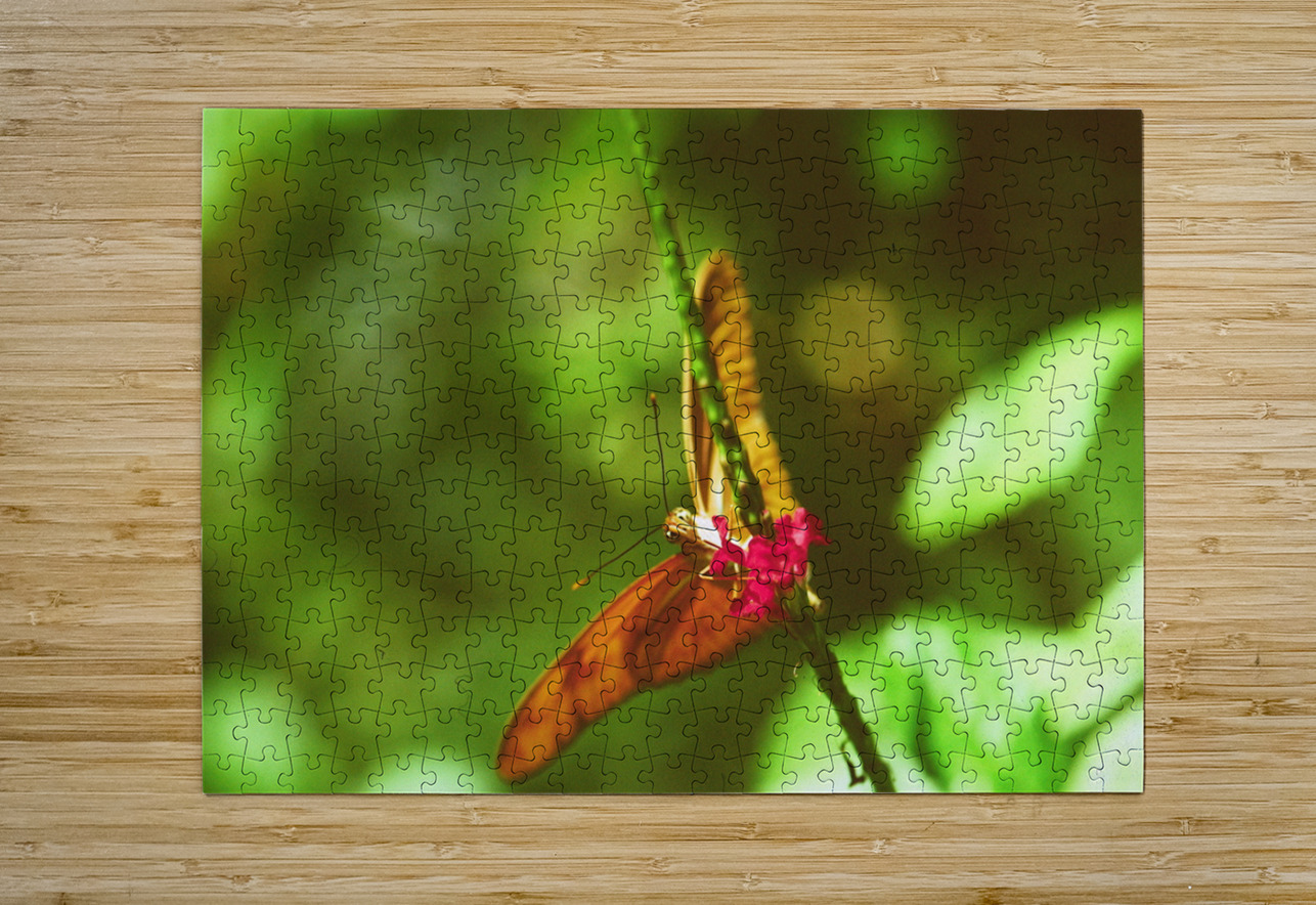 Orange butterfly having a drink Bonnies Wall Art Puzzle printing
