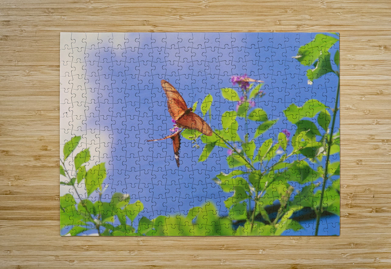 Orange butterflies playing Bonnies Wall Art Puzzle printing