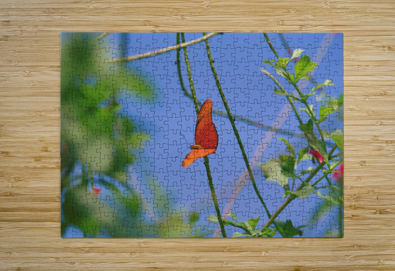 Orange Butterfly Having A Rest Bonnies Wall Art Puzzle printing