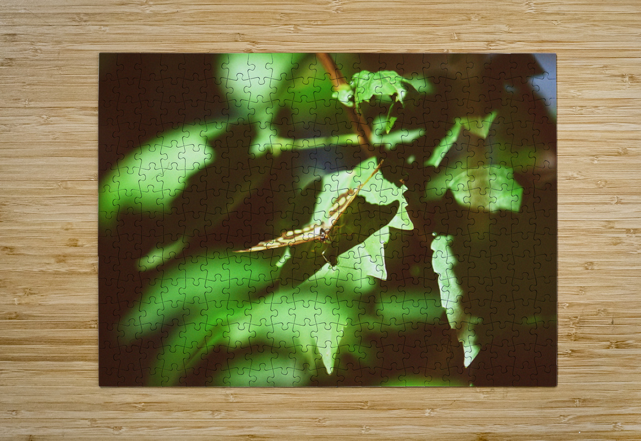 Butterfly with captured beetle Bonnies Wall Art Puzzle printing