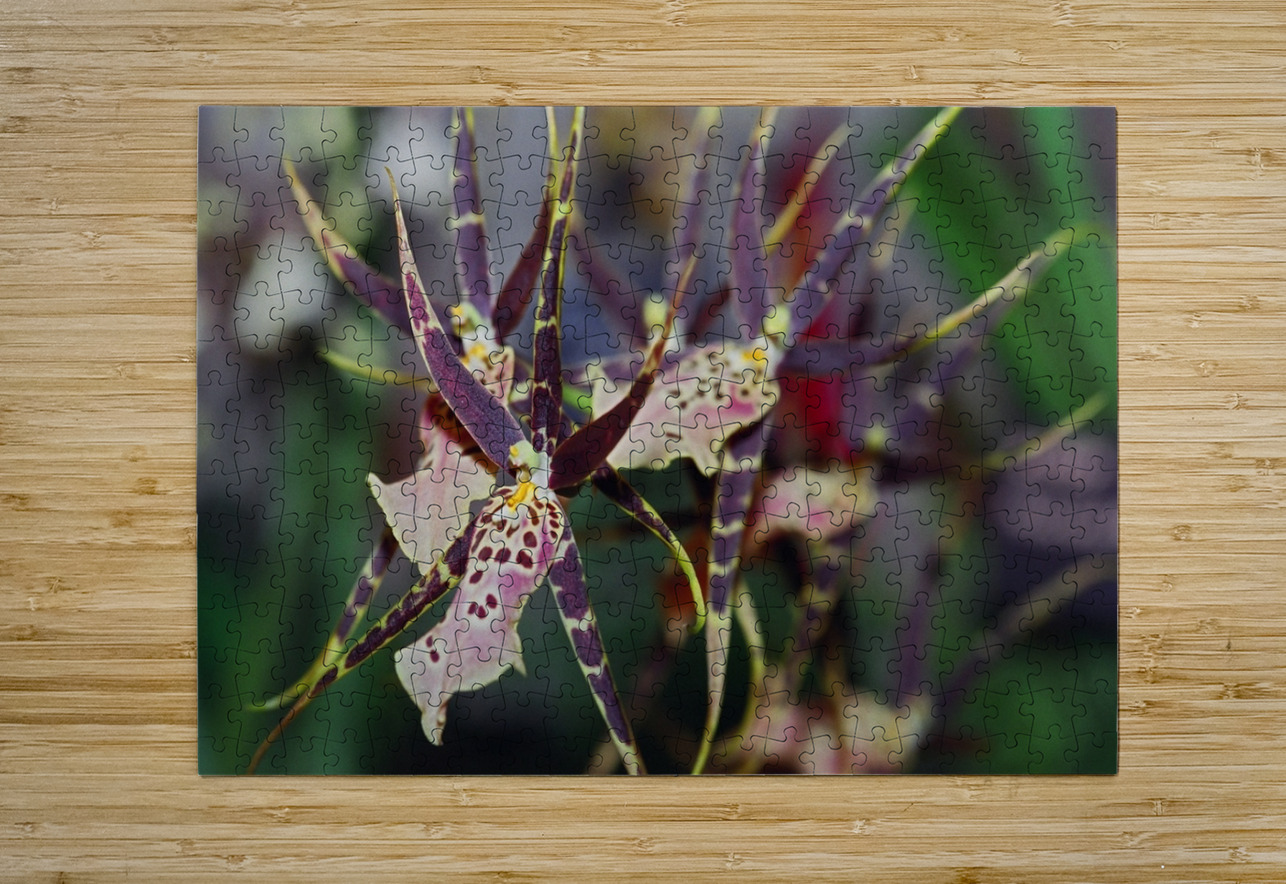 Striped Orchids Bonnies Wall Art Puzzle printing