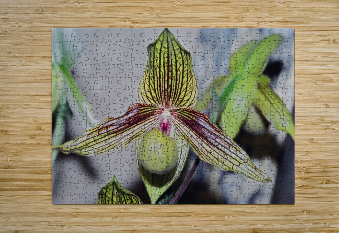 Green Striped Orchid Bonnies Wall Art Puzzle printing