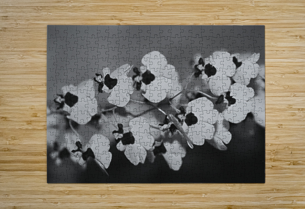 Black and White Floral Series 2 Bonnies Wall Art Puzzle printing