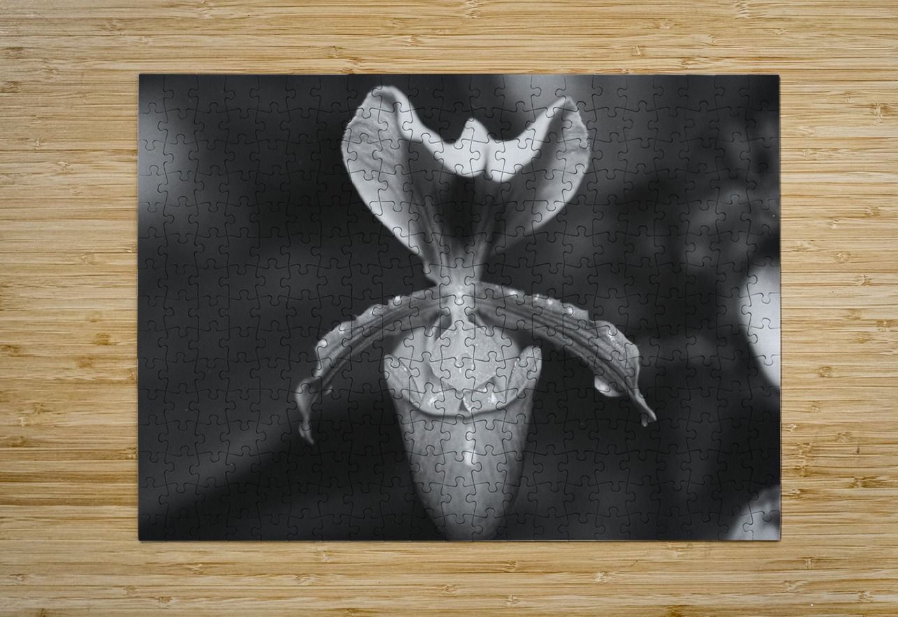 Black and White Orchid Series 2 Bonnies Wall Art Puzzle printing