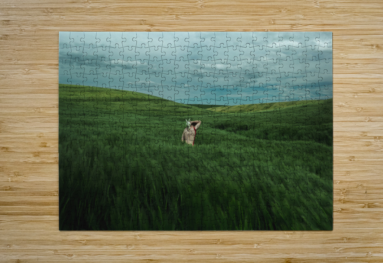 Woman In A Field Bonnies Wall Art Puzzle printing