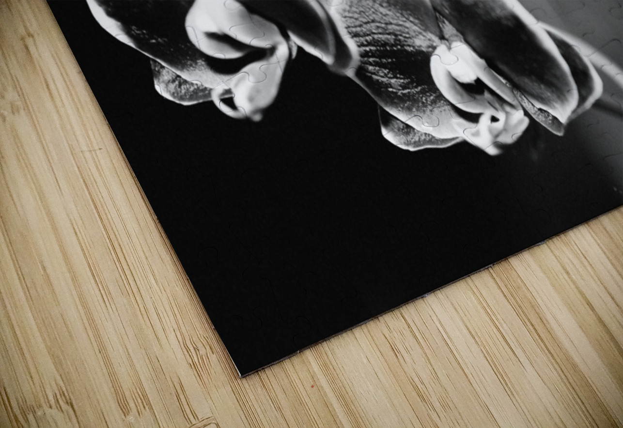 Black  White Floral Series 12 Bonnies Wall Art Puzzle