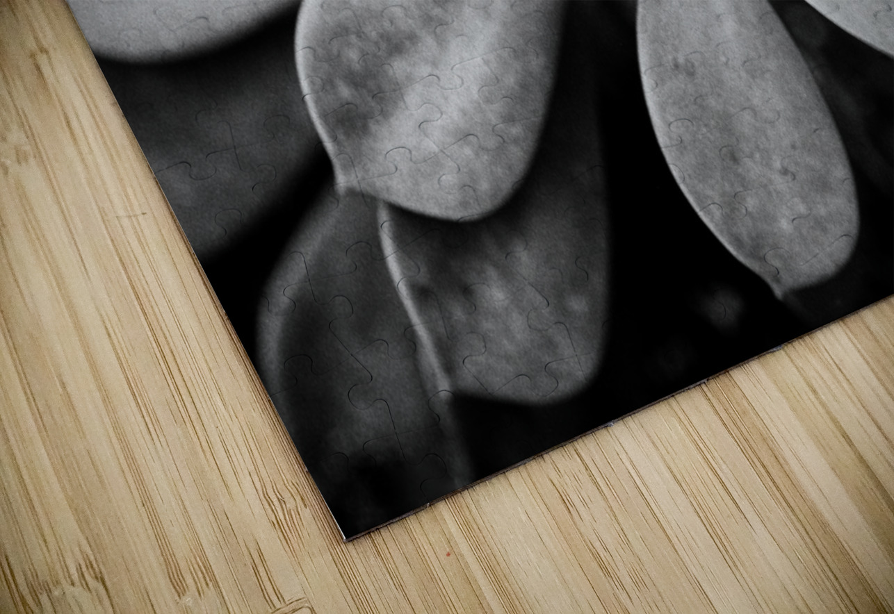 Black  White Floral Series1 Bonnies Wall Art Puzzle