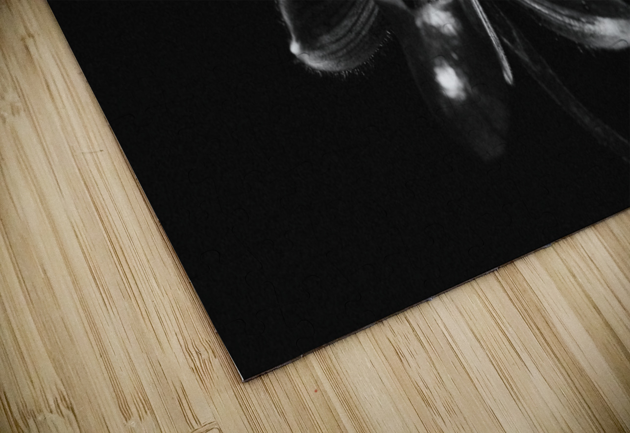 Black  White Floral Series 9 Bonnies Wall Art Puzzle