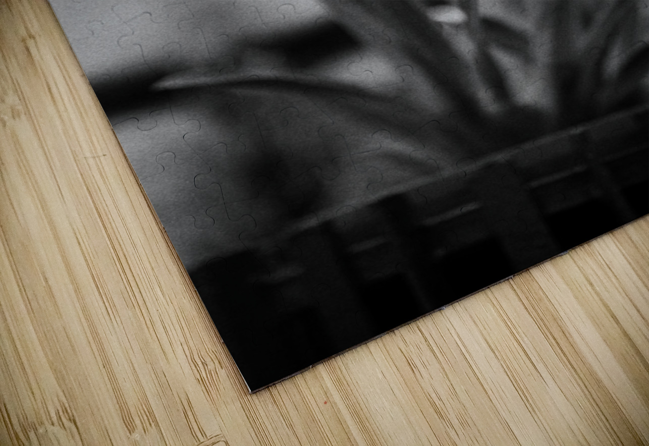 Black  White Floral Series - Double Trouble Bonnies Wall Art Puzzle