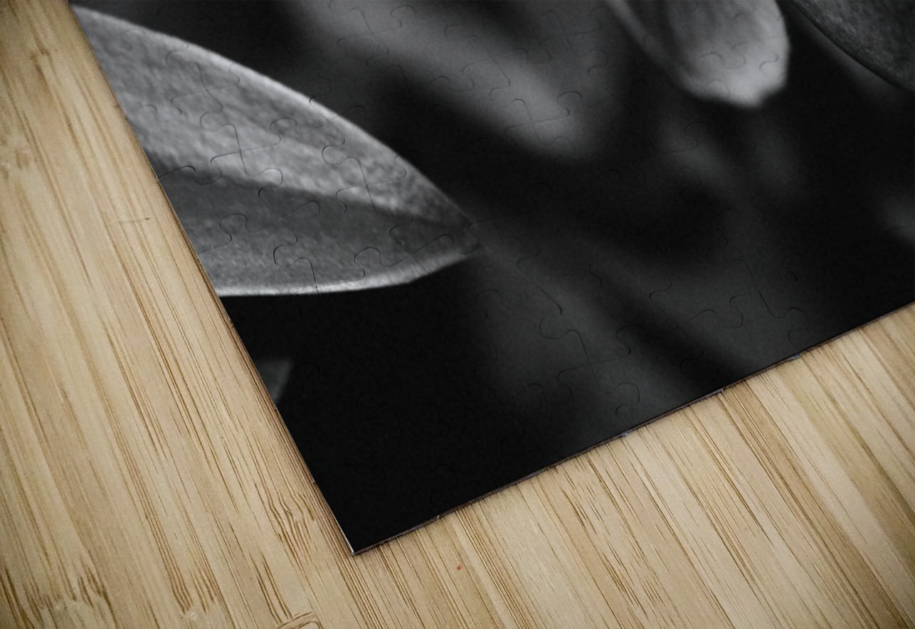 Black  White Floral Series 6 Bonnies Wall Art Puzzle