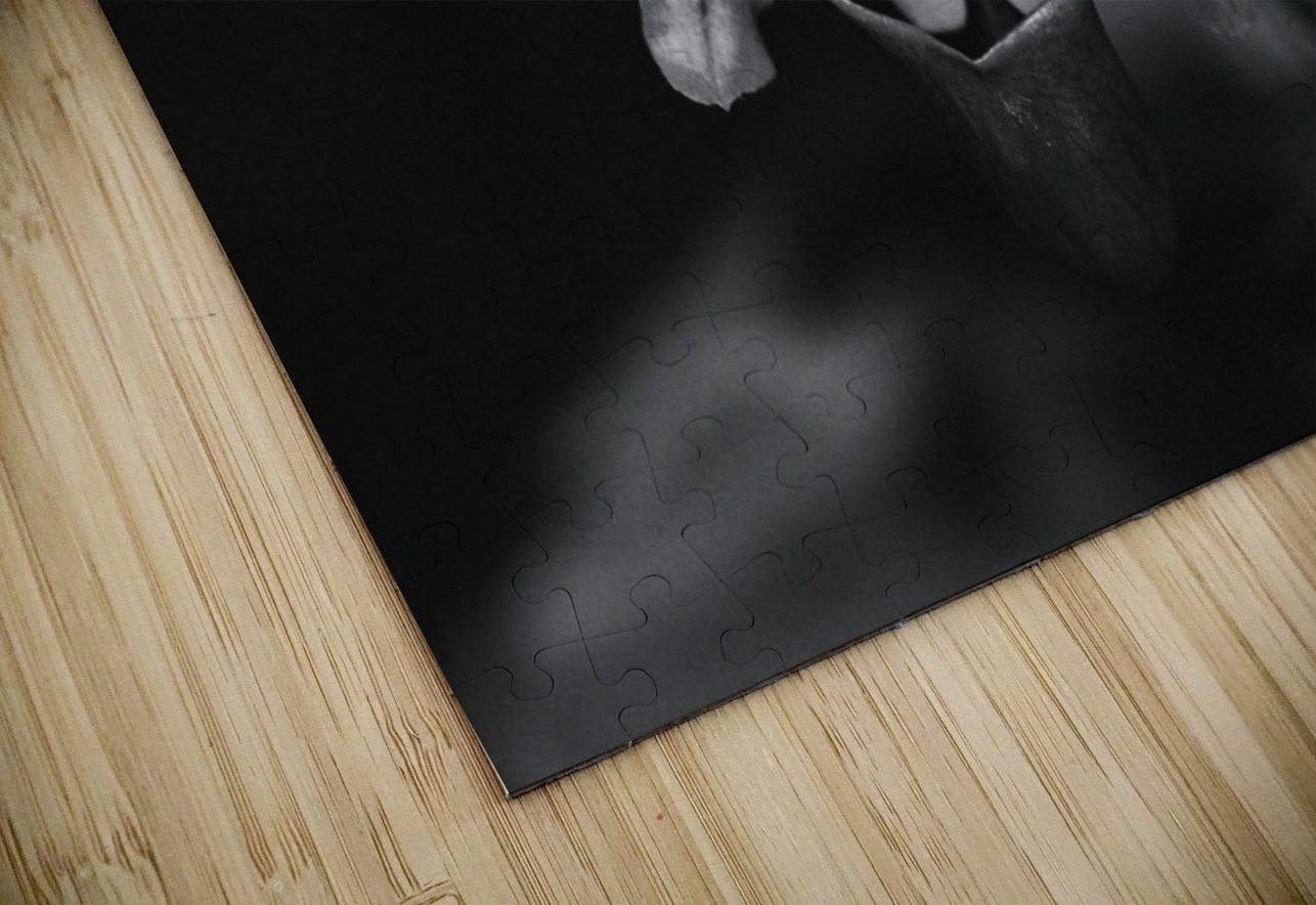 Black  White Floral Series 10 Bonnies Wall Art Puzzle