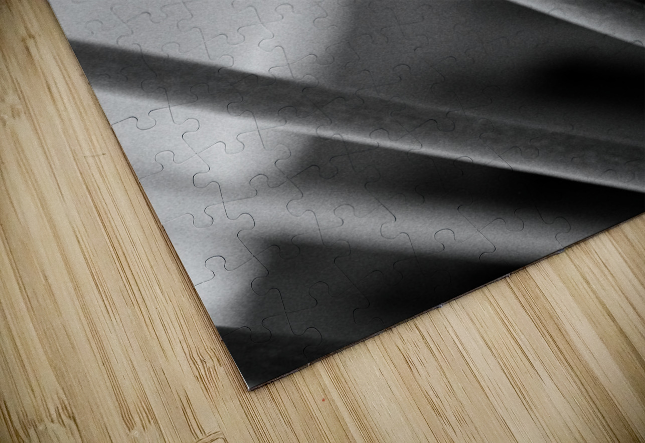 Black  White Bird of Paradise  Bonnies Wall Art Puzzle