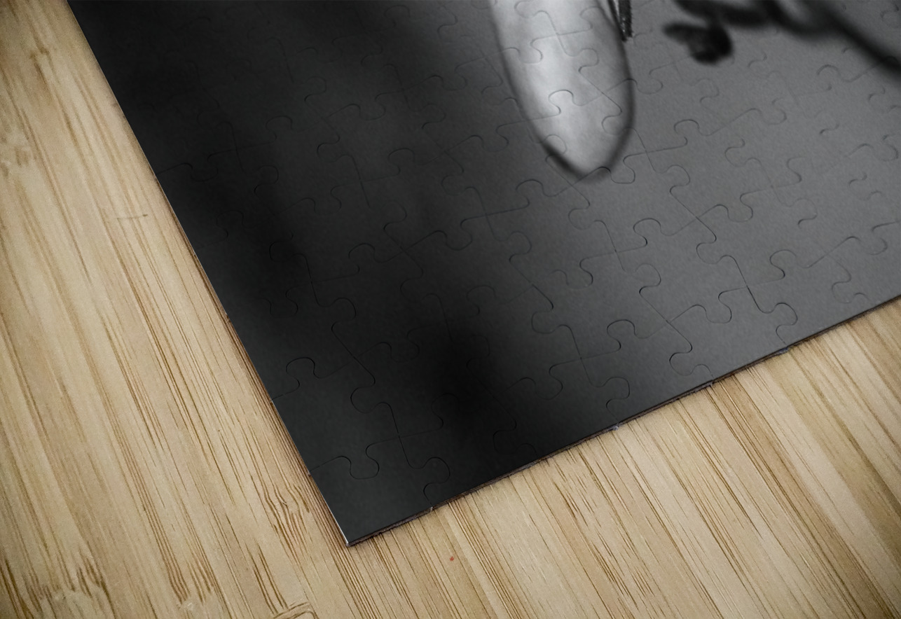 Black  White Floral Series 7 Bonnies Wall Art Puzzle