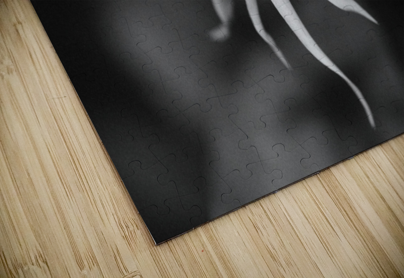 Black  White Floral Series 11 Bonnies Wall Art Puzzle