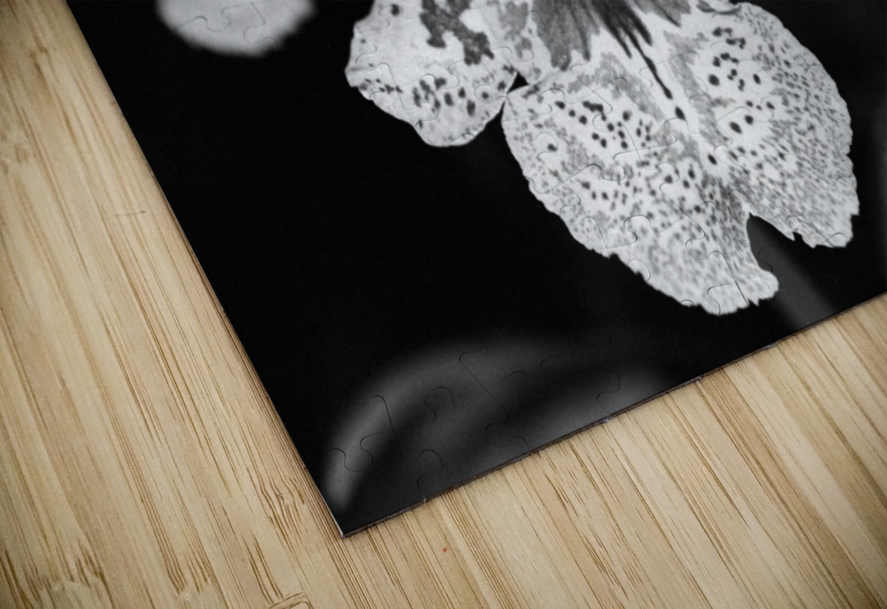 Black  White Floral Series 8 Bonnies Wall Art Puzzle