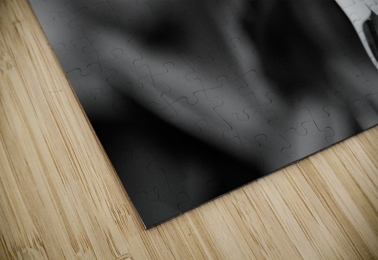 Black  White Floral Series 13 Bonnies Wall Art Puzzle