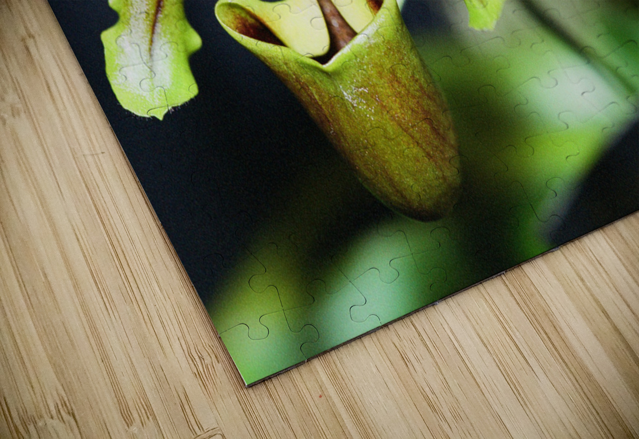 Green Orchid Bonnies Wall Art Puzzle