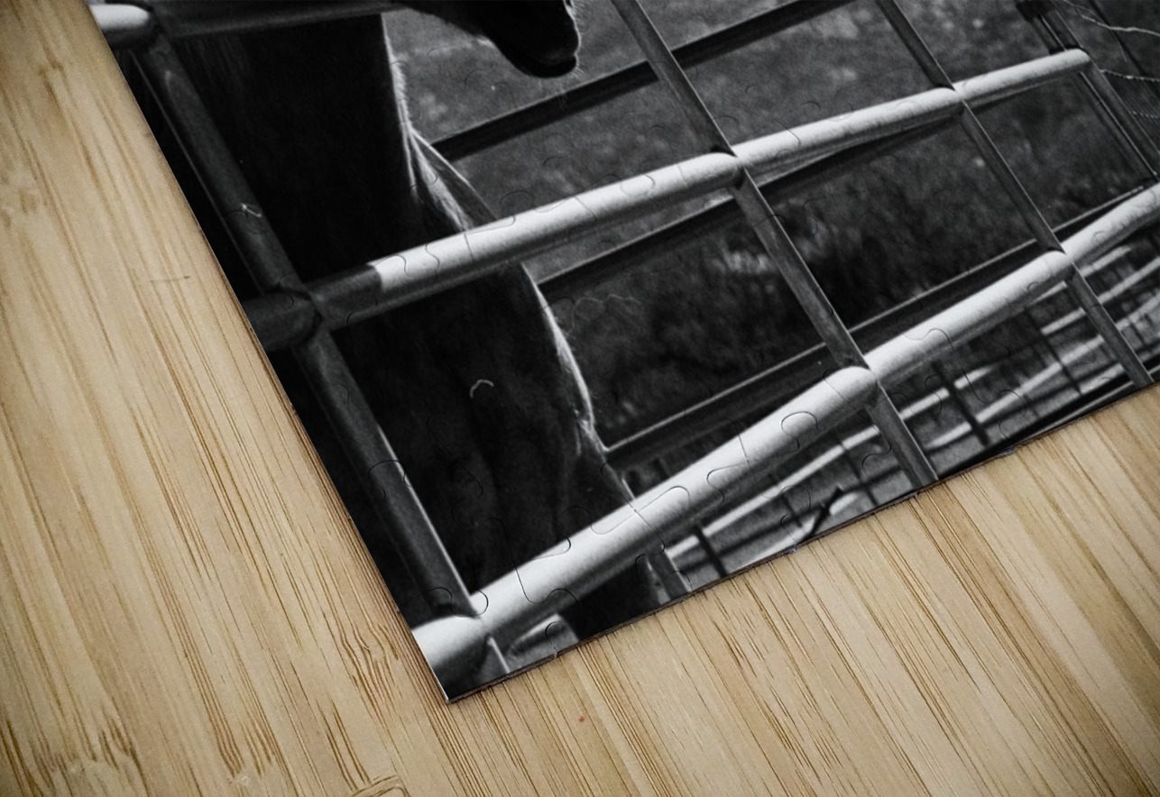 Horse amidst the mountains Bonnies Wall Art Puzzle