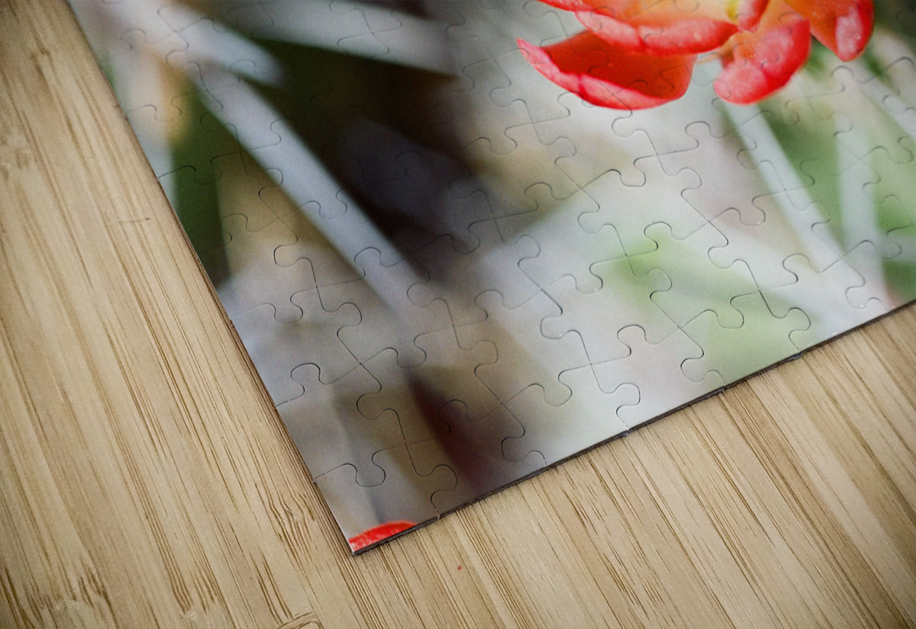 Red Cacti 2 Bonnies Wall Art Puzzle