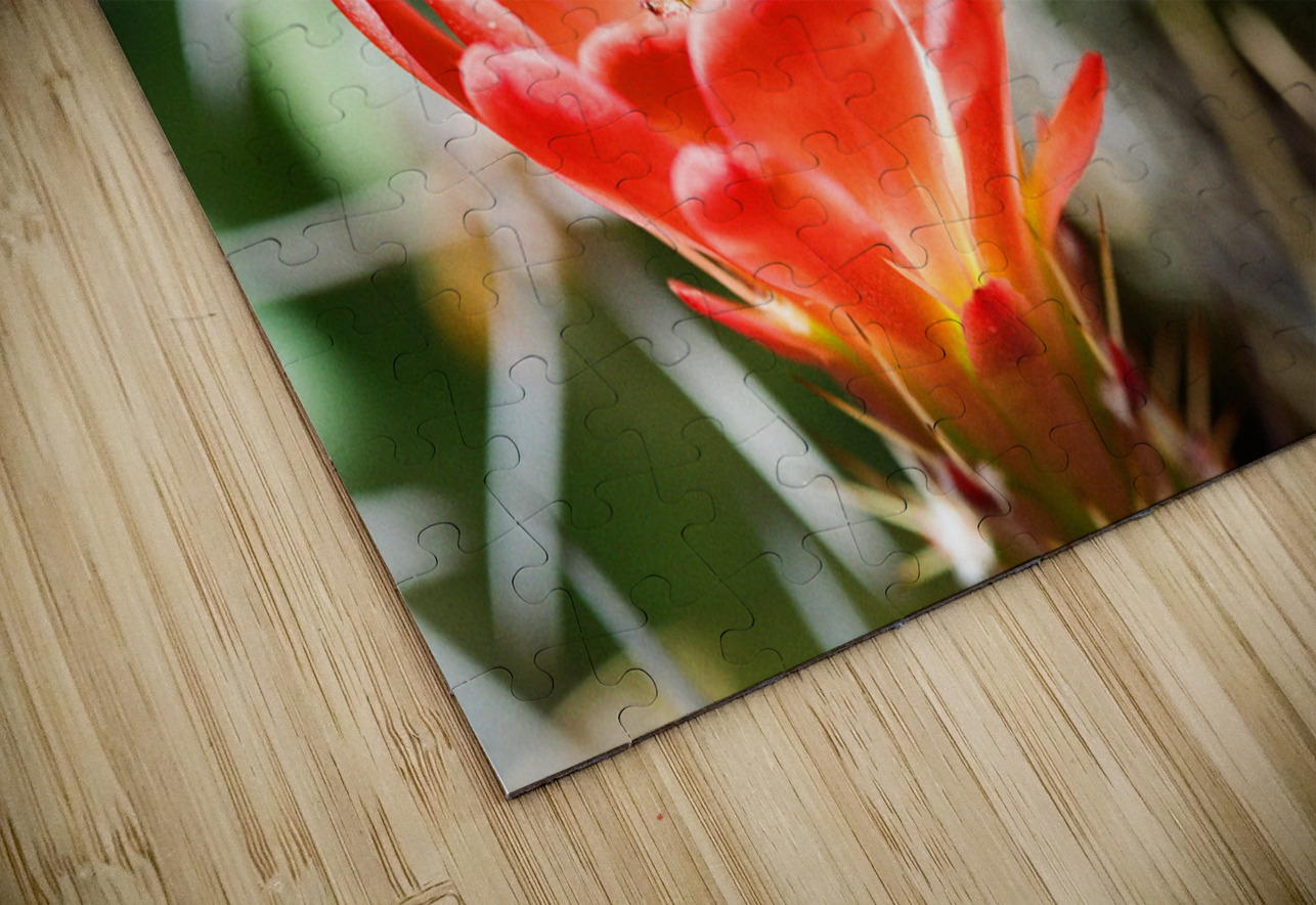 Red Cacti 3 Bonnies Wall Art Puzzle