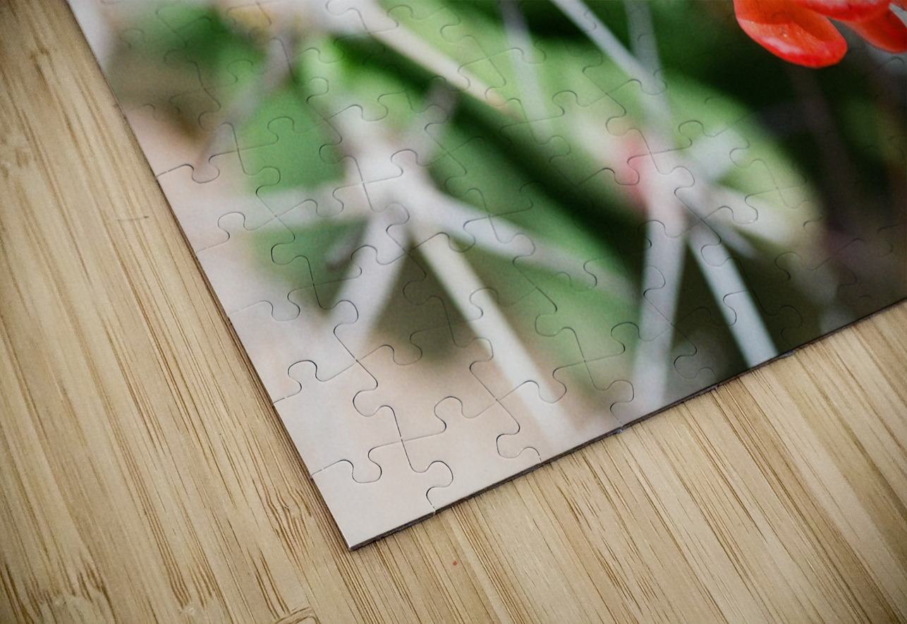 Red Cacti 5 Bonnies Wall Art Puzzle