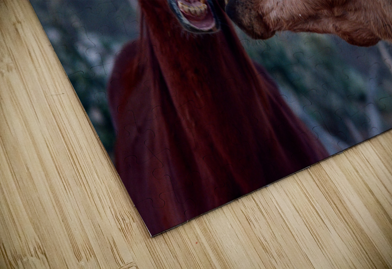 Horses Sparring Bonnies Wall Art Puzzle