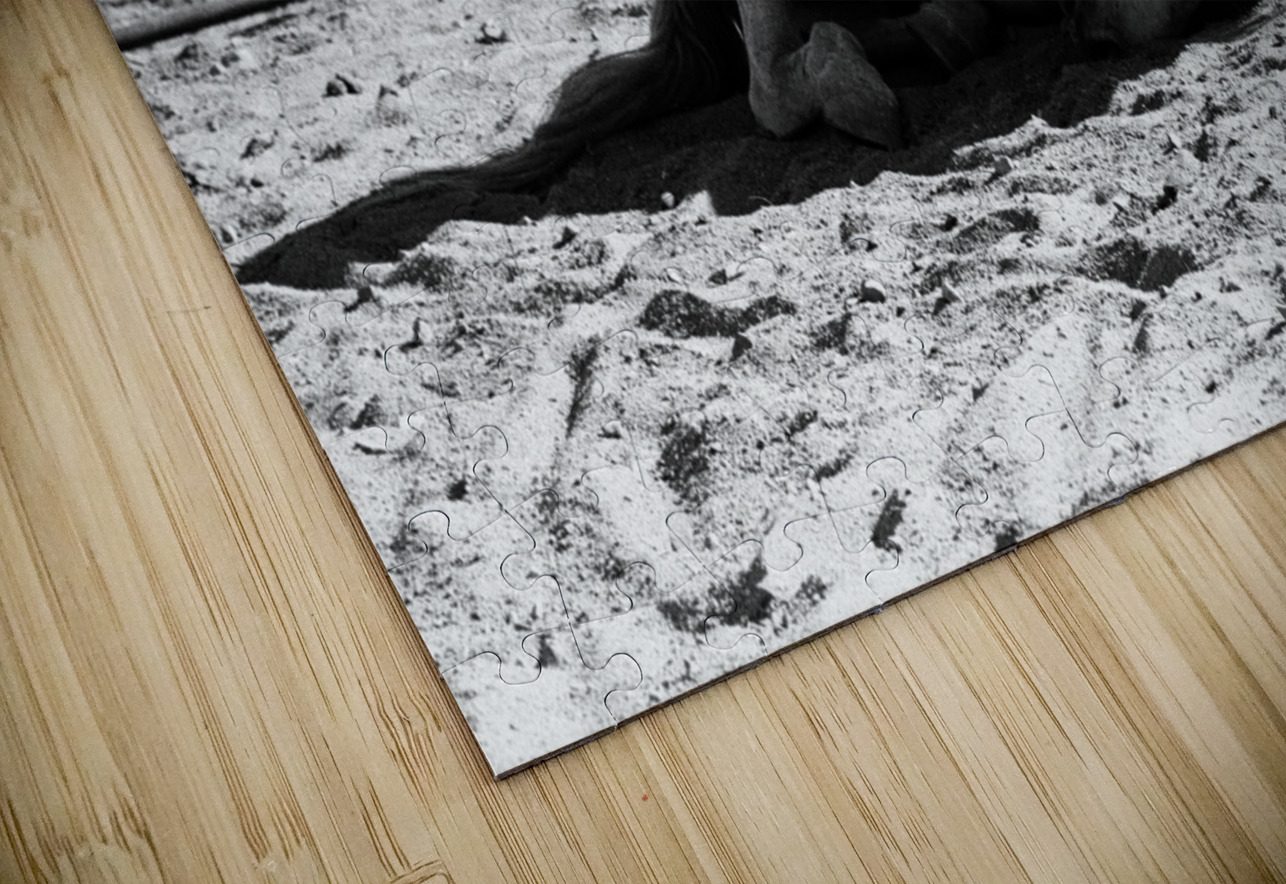 Magnificent Horse Pose 2 Bonnies Wall Art Puzzle