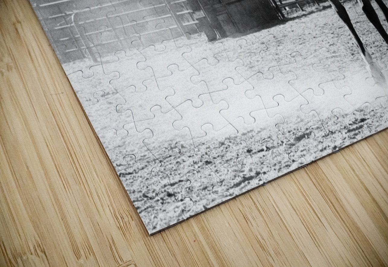 Black Horse Dust Bonnies Wall Art Puzzle