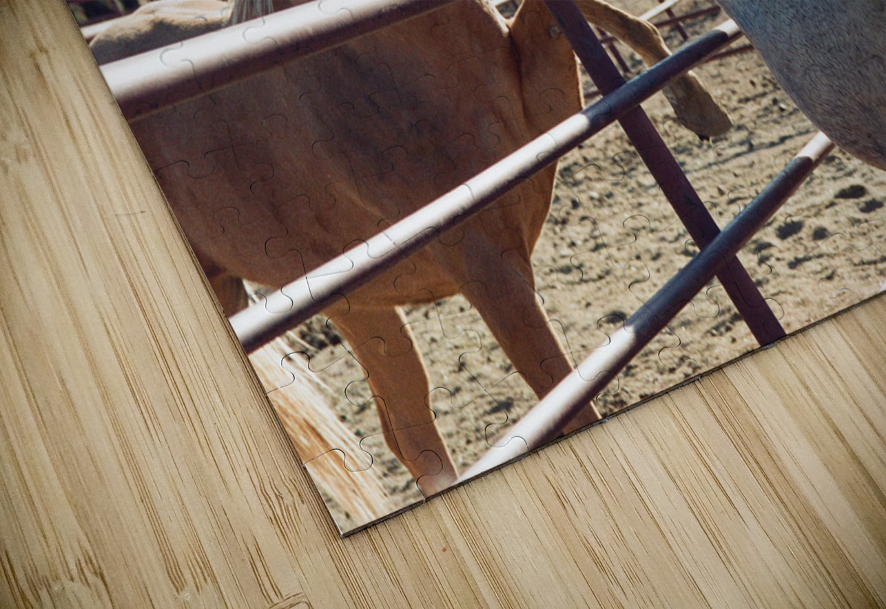 Horses connecting Bonnies Wall Art Puzzle