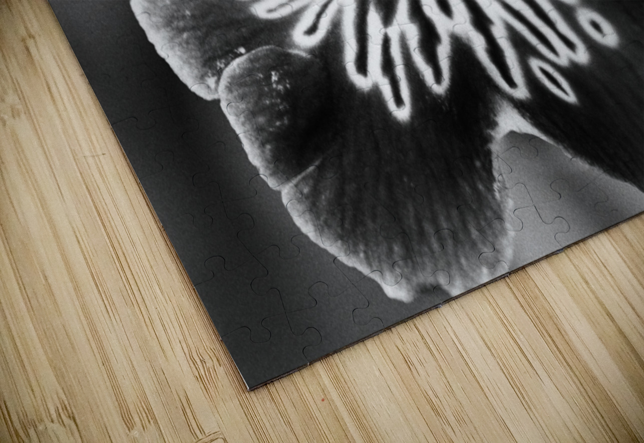 Black and White Orchid Series 21 Bonnies Wall Art Puzzle